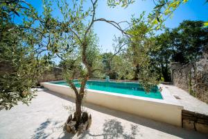 B&B / Chambres d'hotes Les Yourtes de Provence : Chambre Quadruple avec Salle de Bains Privative