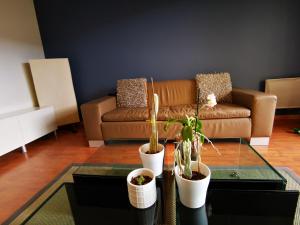 Appartements Le grand briochin : photos des chambres