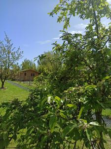 Gite Les chalets du Fliers Location de vacances a la Mer - en Chalets BERCK SUR MER : photos des chambres