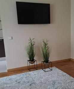 Rietumkrasta seaside apartment