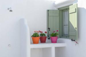 JASMINE HOUSE VIGLA Naxos Greece