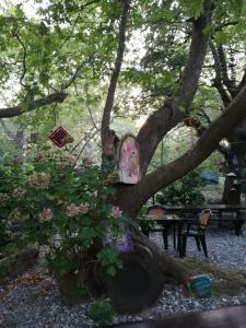Vasilis House Nisos-Samothraki Greece