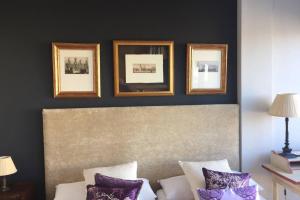 IMAGEN SUITE