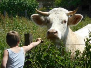 Campings Camping Les Arbois : photos des chambres