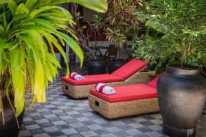 Casa Bubu Guest House