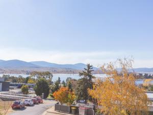 Alaska 8 Poley Cow Lane