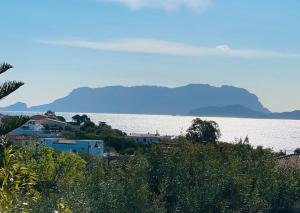 Boutique Art W9 img16