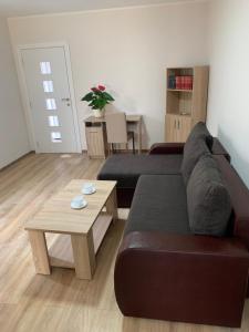 Apartman Zmaj