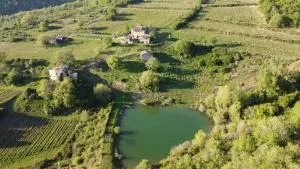 Agriturismo Podere Tegline - Radda in Chianti