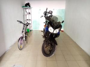 La Posidonia Oceanica img17