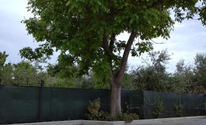 La Dimora di Lalla