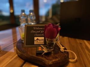 Dom pod górami Sosnówka