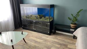 City Ocean apartment