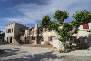 Le Micocoulier - La Moutonne