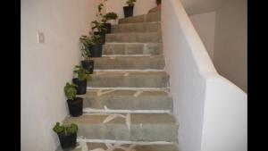 Nature house #2