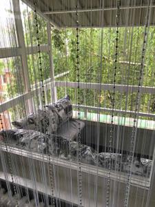 Apartman studio Pavle i Petra