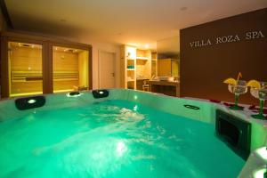 Apartments Villa Roza 