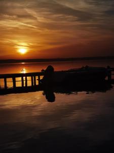 Theo Summerland Seaview