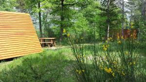 Agricampeggio Madonna di Pogi