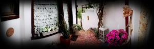 Casa Fotografului