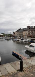 Appartements Le Maurifleur vous accueille a 3 km de Honfleur : photos des chambres