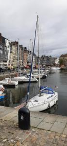 Appartements Le Maurifleur vous accueille a 3 km de Honfleur : photos des chambres