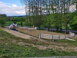 Osada Dzika - domy z bali