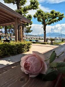 Villaggio Turistico dei Tigli