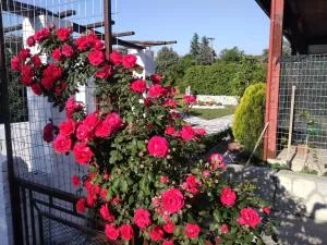 Green house - Apartment in Aridaia-Loutra Pozar - Khrísa