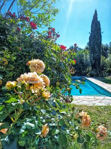 Maisons de vacances Les jardins de Foata : Maison 2 Chambres