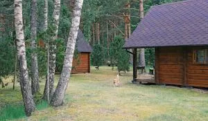 Niidupuu Camping - Kyrk-Kyula