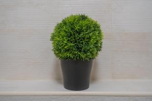 MyFlat Solaris Family Apartment