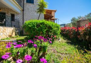Ammos Zante Villas