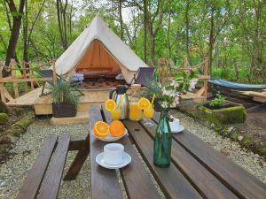 Glamping Ławica- spływy Przełomem Bardzkim