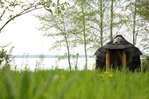 Hara Sadama iglukämping