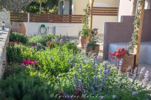 La Casa Del Vitsi Chania Greece