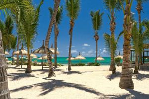 Royal Road, Anse La Raie, Mauritius.