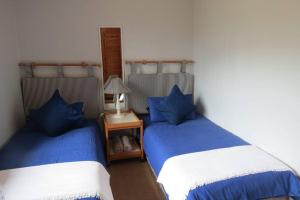 On the beach living! 12 Calamari