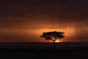 Africa Safari Maasai Boma