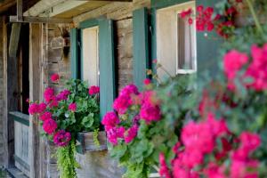 Alpenresidenz Unterrainer