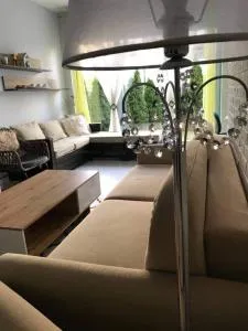 Krakowska Apartamenty - 戈莱纽夫