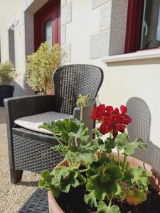 Maisons de vacances Gite atypique le plus haut de Vendee : photos des chambres