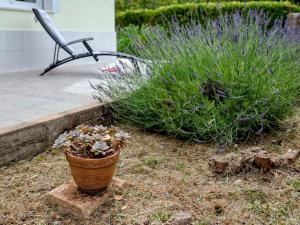 Holiday house Sunshine