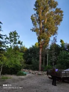 Quinta Sul America - Sendim