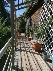 B&B / Chambres d'hotes Sherwood : photos des chambres