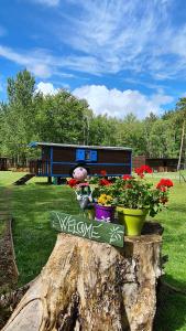 Roulottes du Chalet des Pins photo 9