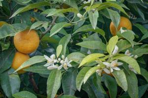 Maisons de vacances Maison de campagne calme jacuzzi : photos des chambres