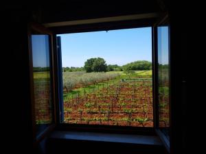 Apartment and Rooms Hacienda Stelio