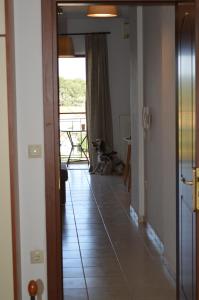Best House,Appartments,Pylos Messinias Messinia Greece