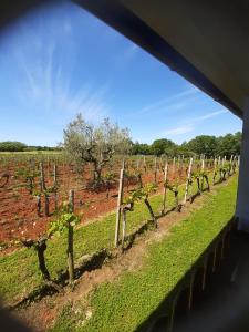 Apartment and Rooms Hacienda Stelio